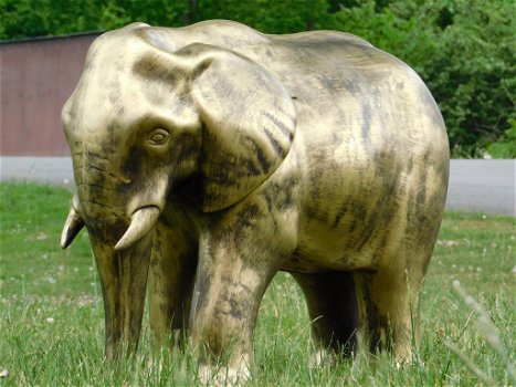 olifant , sjors - 1