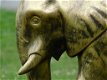 olifant , sjors - 2 - Thumbnail