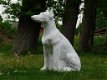 hazewindhond , tuinbeeld , hond - 0 - Thumbnail