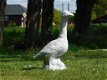 tuinbeeld Gans, gans - 3 - Thumbnail