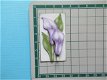 b04 Bloemen - 0 - Thumbnail