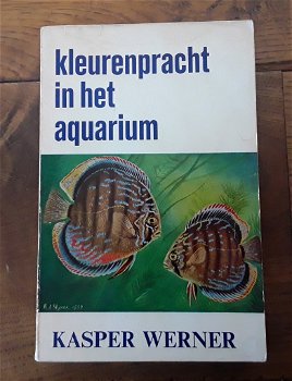 Kleurenpracht in het Aquarium - Kasper Werner - 0