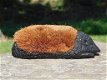 voetenveger van een egel - 2 - Thumbnail