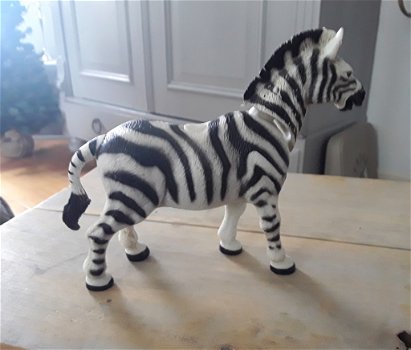 Zebra / zebrapaard met bewegende kop en poot - 1