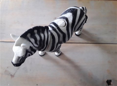 Zebra / zebrapaard met bewegende kop en poot - 3