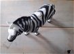 Zebra / zebrapaard met bewegende kop en poot - 3 - Thumbnail
