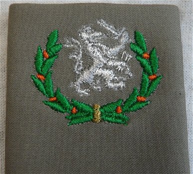 Rang Onderscheiding, Regenjas, Bataljons Adjudant, Koninklijke Landmacht, vanaf 2000.(Nr.1) - 2