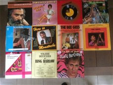 Vinyl lp, allerlei: Plastic Bertrand, The Bee Gees, Zwarte Lola, Vlaams e.a.