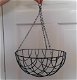 Hanging baskets - 1 - Thumbnail