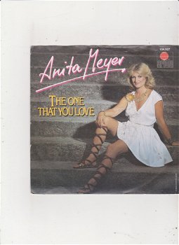 Single Anita Meyer - The one that you love - 0