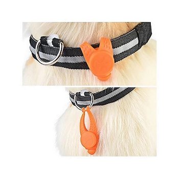 Licht hond voor om halsband hond, paard of kat - 6