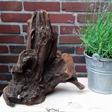Decoratief stuk hout / boom - leuk voor decoratieve doeleinden (b.v. Bloemstukken, kunstwerken, lamp