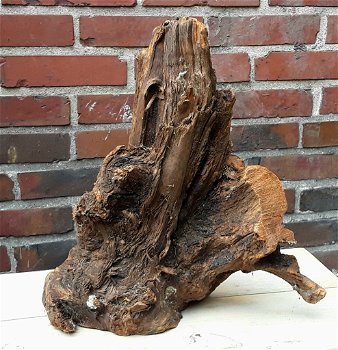 Decoratief stuk hout / boom - leuk voor decoratieve doeleinden (b.v. Bloemstukken, kunstwerken, lamp - 3