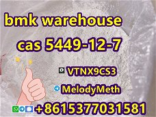 good price bmk powder cas 5449-12-7 BMK Glycidic Acid sodium salt in stock