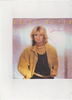 Single Anita Meyer - Goodbye to love - 0