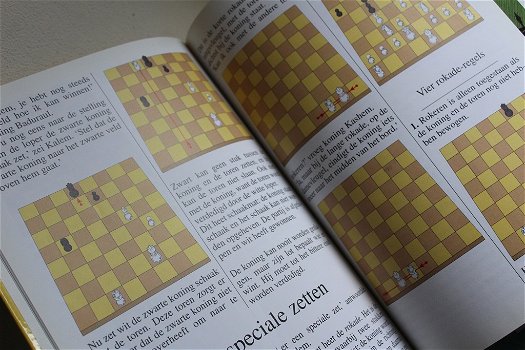 De Twee Koningen - een schaakverhaal - 4
