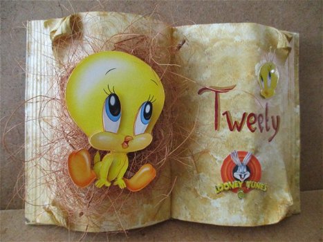 adv8581 tweety boek - 0