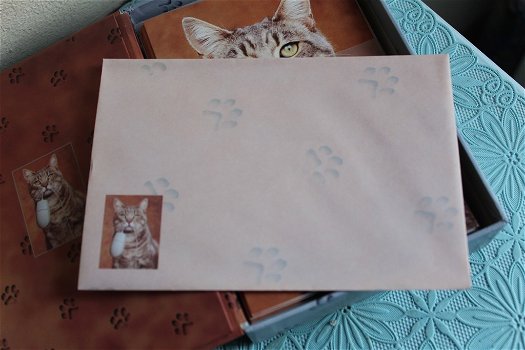 18 blanco kaarten met kattenafbeelding plus enveloppen - 5