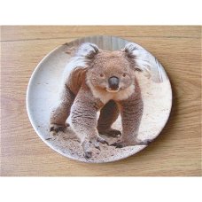 Koala beer porselein wandbord D16 Cm