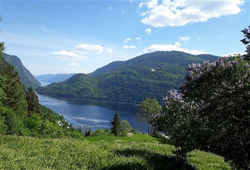 Reisgenote gezocht vakantie Noorwegen - 0