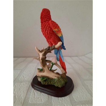 Rood Ara papegaai op een hout plateau The Leonardo Collection LP11483 L12 X B10 X H22 Cm - 2