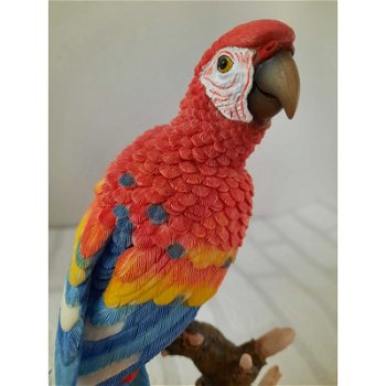 Rood Ara papegaai op een hout plateau The Leonardo Collection LP11483 L12 X B10 X H22 Cm - 3