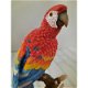 Rood Ara papegaai op een hout plateau The Leonardo Collection LP11483 L12 X B10 X H22 Cm - 3 - Thumbnail