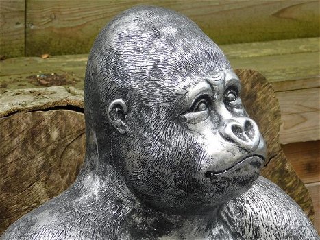 Gorilla,beeld,aap - 4