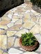 mediterraanse flagstones Yellow Saliq - 2 - Thumbnail
