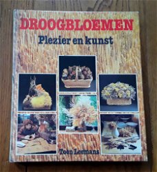 Droogbloemen - plezier en kunst (toon leenmans)