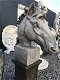 buste van een paardenhoofd , paard - 2 - Thumbnail