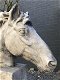 buste van een paardenhoofd , paard - 5 - Thumbnail