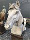 buste van een paardenhoofd , paard - 6 - Thumbnail