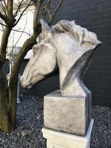 buste van een paardenhoofd , paard - 7