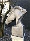 buste van een paardenhoofd , paard - 7 - Thumbnail