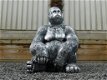 gorilla , kado - 1 - Thumbnail