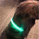 USB oplaadbare led verlichtingsbuis voor de hond - 2 - Thumbnail