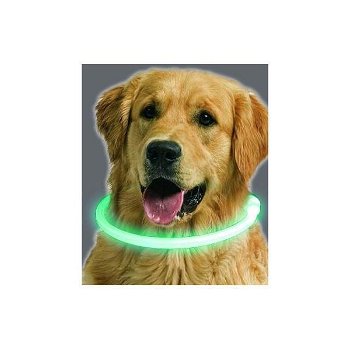 USB oplaadbare led verlichtingsbuis voor de hond - 5