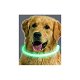 USB oplaadbare led verlichtingsbuis voor de hond - 5 - Thumbnail