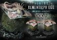 Prime 1 Studio Aliens Premium Masterline Series Statue Xenomorph Egg - 2 - Thumbnail