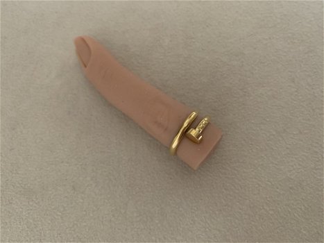 Gouden spijkerring ring rvs verguld en verkleurd niet - 0