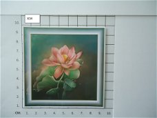 glanzende foto's Bloemen serie X ( 8 stuks )