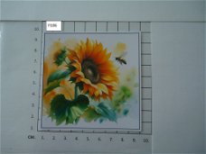 glanzende foto's Bloemen serie Y ( 8 stuks )