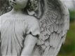 engel , petra - 1 - Thumbnail