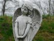 engel , petra - 2 - Thumbnail