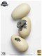 ECC Jurassic World Hatching Indominus Rex Egg Set - 0 - Thumbnail