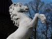 paard , tuinbeeld - 2 - Thumbnail
