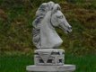 torso van een paard - 0 - Thumbnail