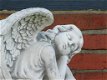 engel , jorien - 1 - Thumbnail