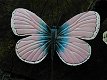 kapstok van een vlinder - 3 - Thumbnail